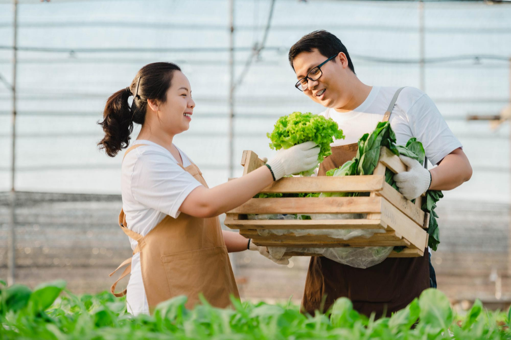 🌍 Reflect on the connection between clean air, public health, and a sustainable future. Together, we can make a difference! #CleanAirForAll #PublicHealth

Click for more greenliving.guru/green-living-a…

#OptingForRenewableEnergySources #while #Greenliving