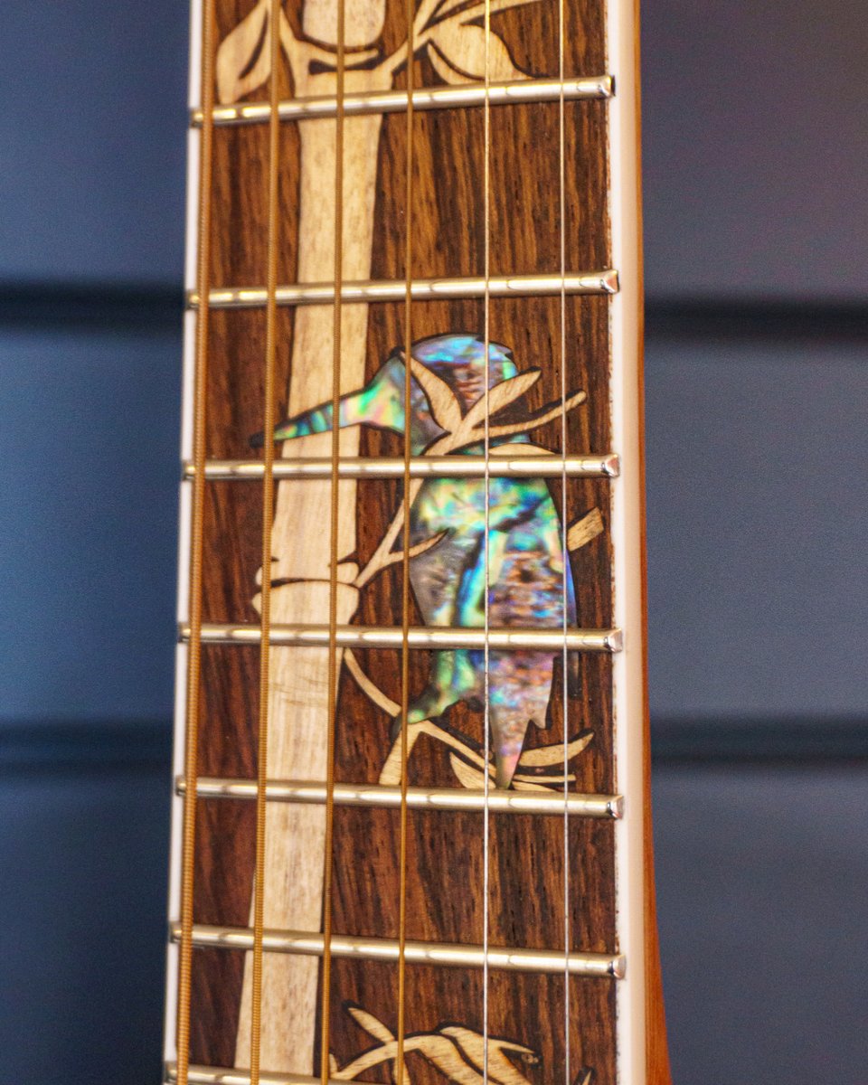 How beautiful is the Abalone Seashell Kingfisher bird inlay on the Lindo Voyager Travel Guitar?? 😍🎸

#lindoguitars #fretboardinlay #acousticguitar #travelguitar
