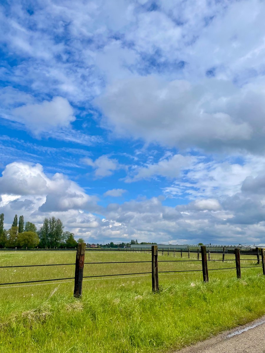 27 april 12.06 Borsbeek #vrtweer @BuienradarBE @HetweerinBelgie