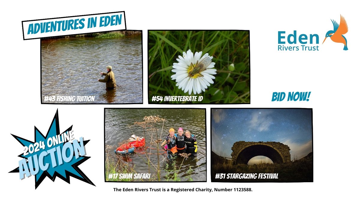 Weekends are made for adventure! Today we're shining a light on some of the experiences in our online charity auction. We've got expert guides to take you walking, swimming, watching wildlife or even on a soil safari! Take a look at what's on offer/bid at uk.givergy.com/EdenRiversTrus…