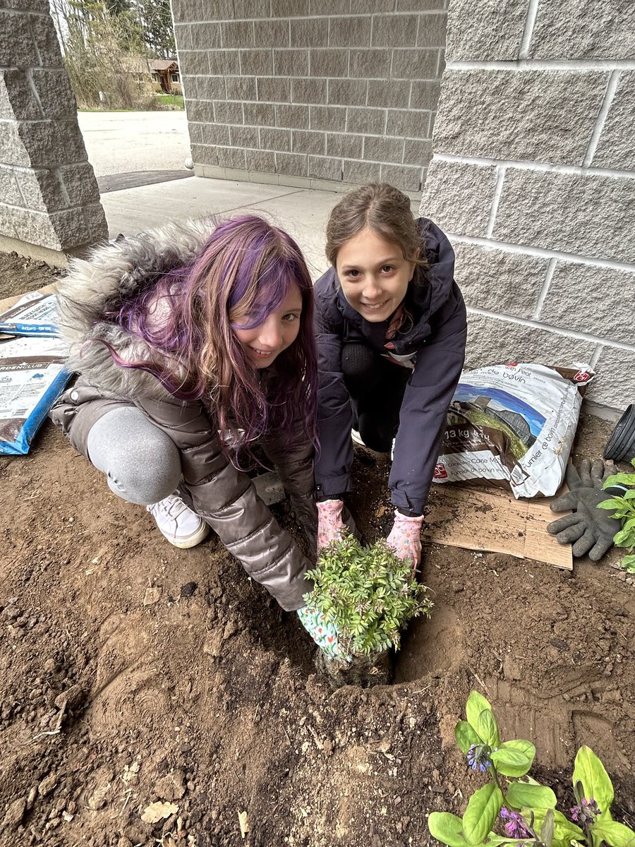 Celebrating #EarthDay2024 with dirty hands & green hearts 💚 Our @GlenGrizzlies Eco Club planted some native species in our school’s front garden. Thanks to funding from @GEETFO & help from the Glen Morris Horticultural Society @GEDSB @MsCrawfordGEDSB