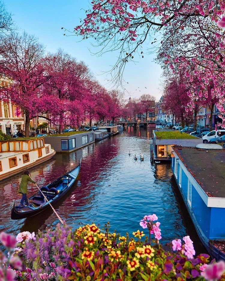 Amsterdam, Netherlands 🇳🇱
Beautiful 📷