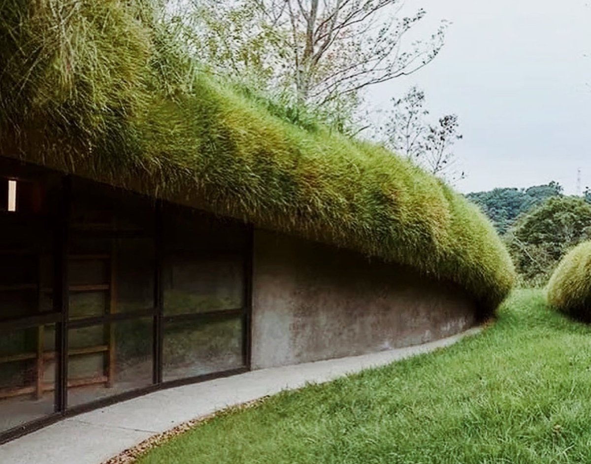 luusssso's tweet image. Absolutely blown away by the design of this underground library in Japan