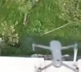 Identify the UAV