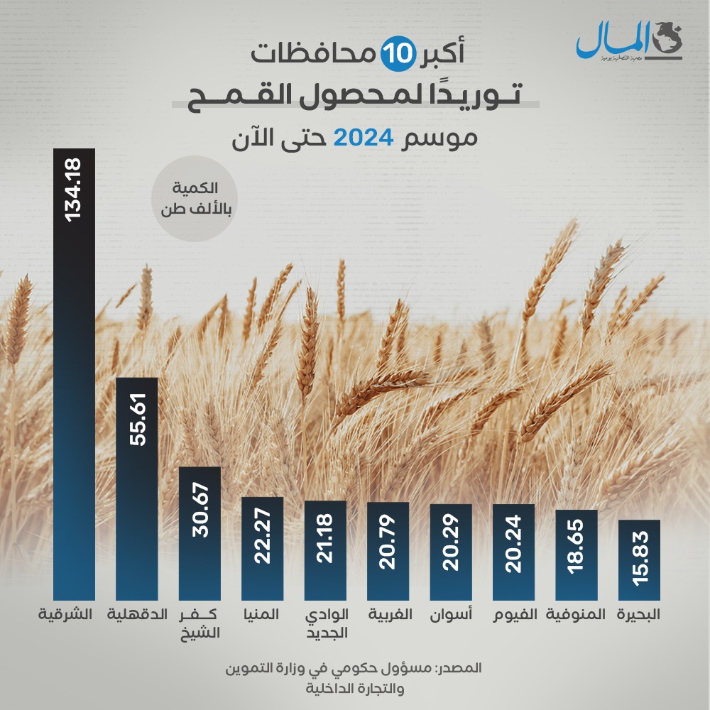 الشرقية في الصدارة بواقع 134.18 ألف طن.. تعرف على أكبر 10 محافظات توريدًا للقمح المحلي عبر 450 نقطة استلام وتجميع خلال موسم 2024، وذلك بحسب مصدر حكومي مسؤول تحدث لـ 'المال'