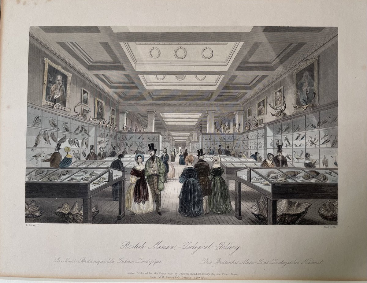 #Archive30 #Museums and #ArchivesForAll @britishmuseum founded in 1753 & 1st public museum in the world,was free to all from the start. But in 1810 the Trustees abandoned the restrictive (free & much maligned) ticketing system & invited people in to wander freely. #BritishMuseum