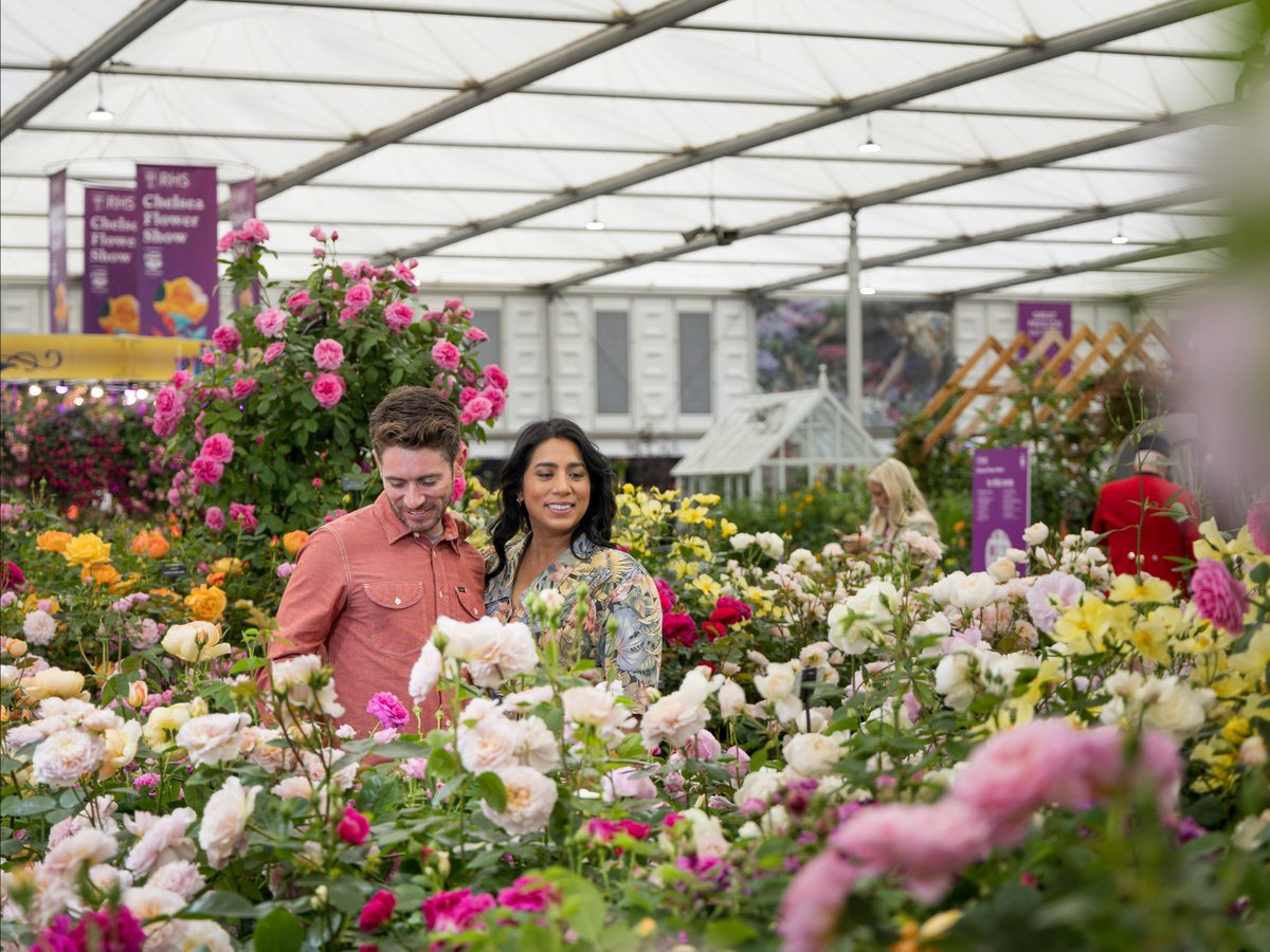 From our first garden designed by children to our new floral exhibit category, there's so much that we're excited about at the 2024 #RHSChelsea Flower Show! 💐

Find out more about what's on at this year's Show: rhs.org.uk/shows-events/r…