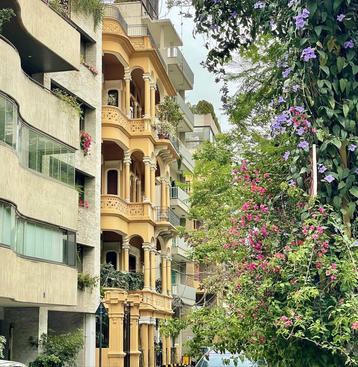Beirut charm 🌸