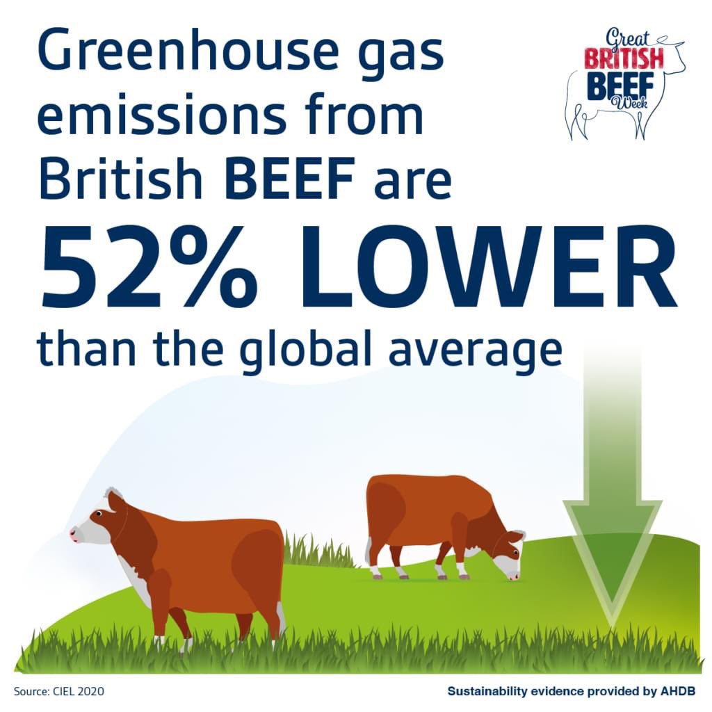 #backbritishfarming grass fed beef and lamb are sustainable beef and lamb! Buy British, buy local. 

Shipping food half way across the world and calling it better for the environment isn’t sustainable.