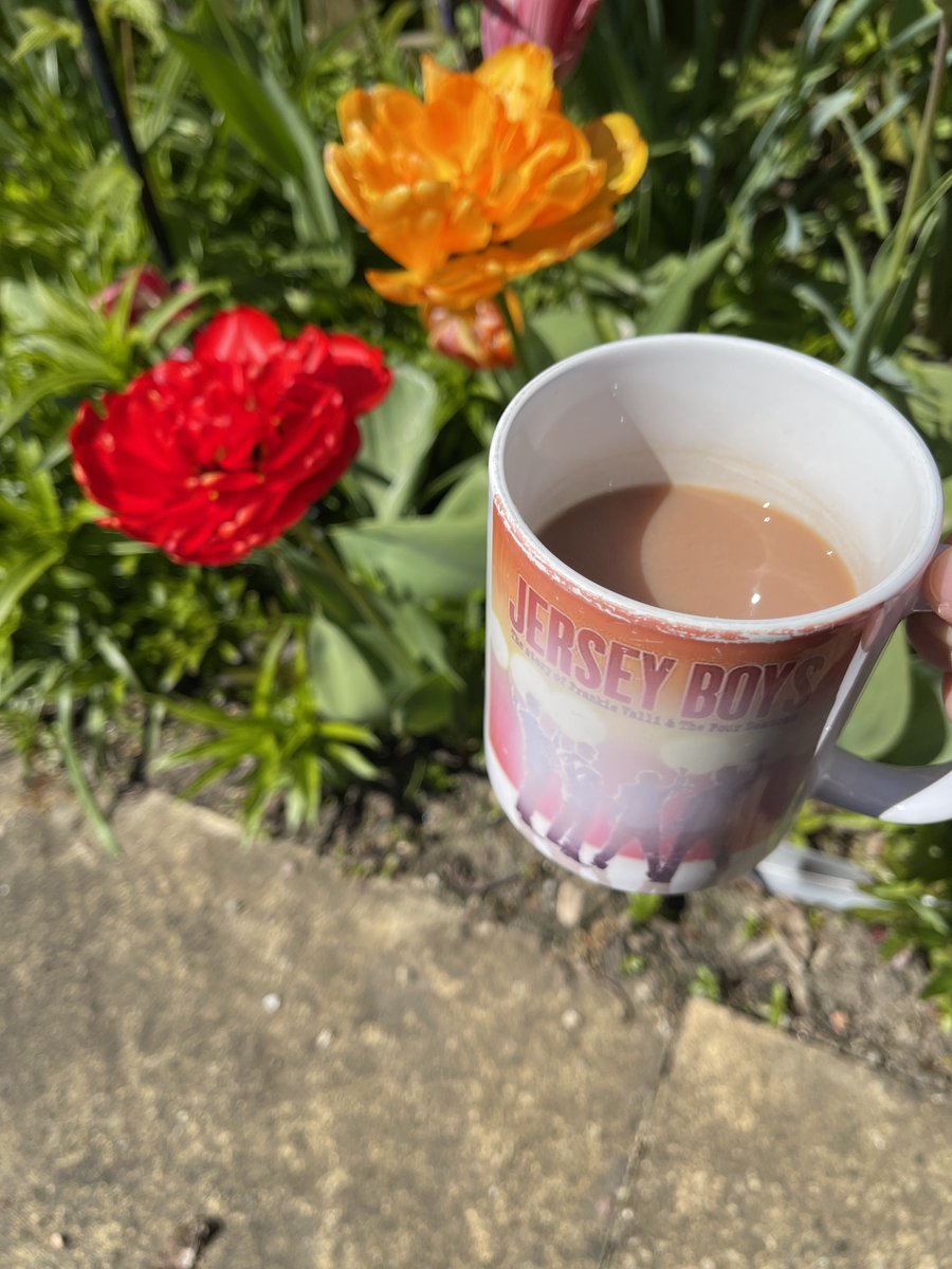 Enjoying tea with #jerseyboys @JerseyBoysUK sun ☀️ and blue skies in #kirkcaldy bit cold but hey ☀️☕️🌴😎 #gardenlife #SaturdayMood
