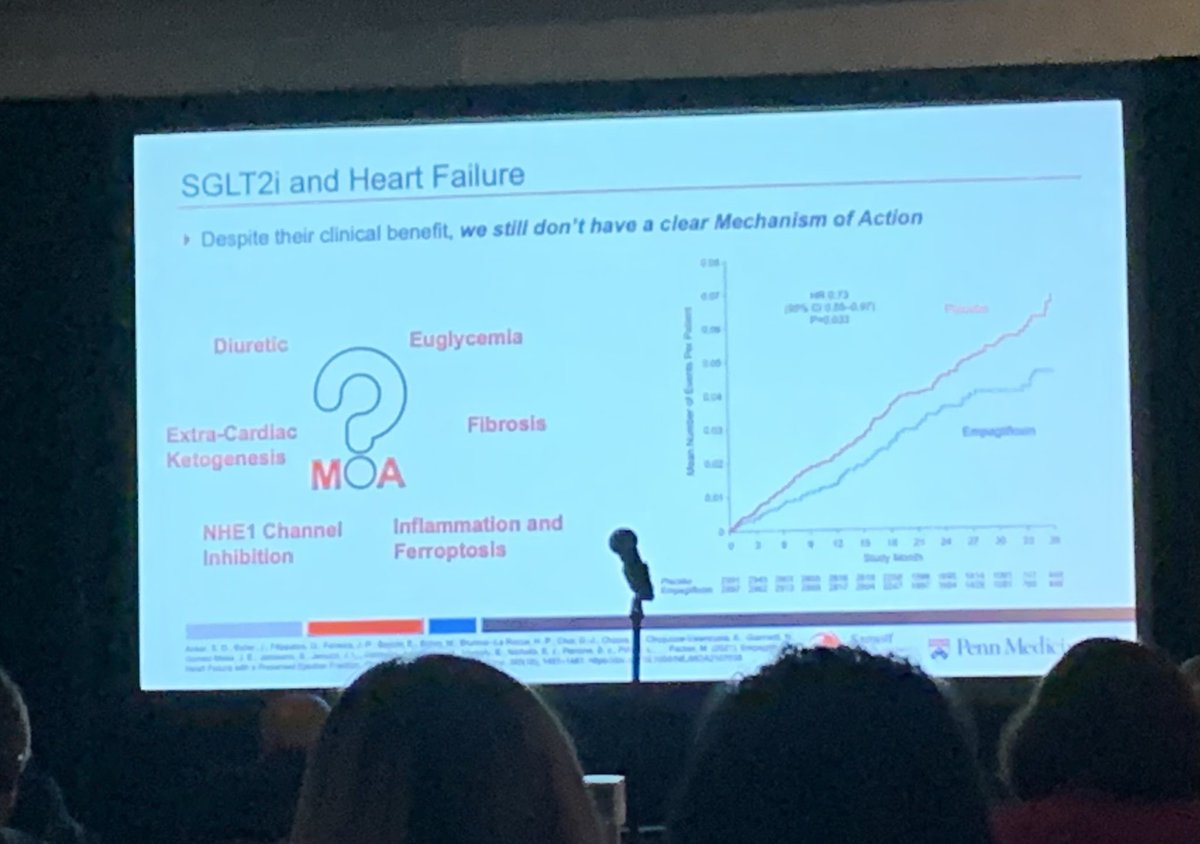 Holy cow! @EinsteinMed⁩ student @NicholasForelli may have just solved how $11B #SGLT2inhibitors work in the heart! His mentor ⁦@zoltarany⁩ ⁦@PennCVI⁩ must be so proud! @SarnoffCardio⁩ #MedStudentResearch