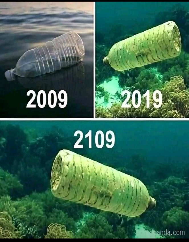 Plastic does not biodegrade. It can take up to 1,000 years to break down, so when it is discarded, it builds up in the environment. This pollution chokes marine wildlife, damages soil and poisons groundwater, and can cause serious health impacts. #WhatHasChanged #ActForNature