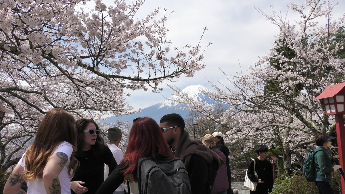 浅間神社：桜・富士山：2024.４.中旬