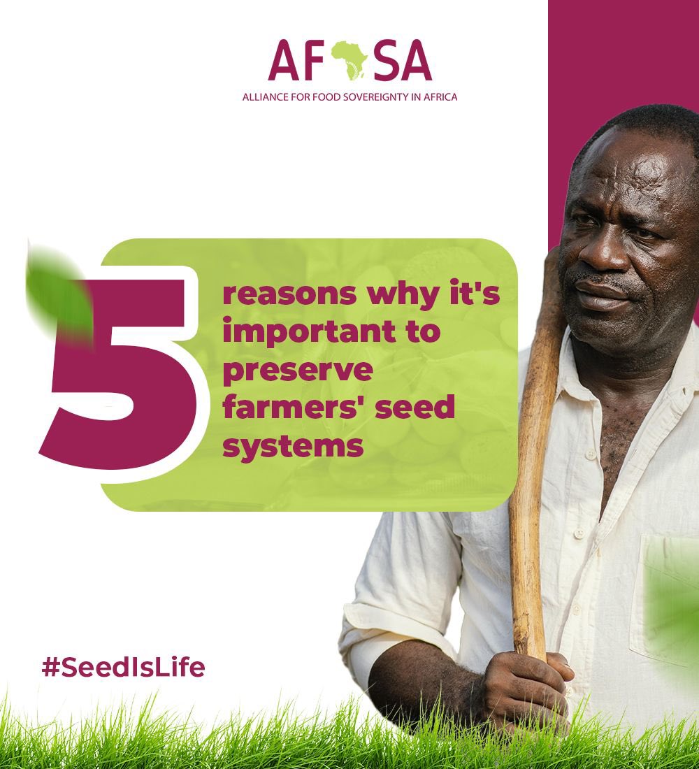 Day 2 of #SeedIsLife campaign and we are looking at the different reasons why it’s important to preserve farmer’s seed systems. #SeedIsLife #MaSemenceMaVie ⁠#InternationalSeedsDay