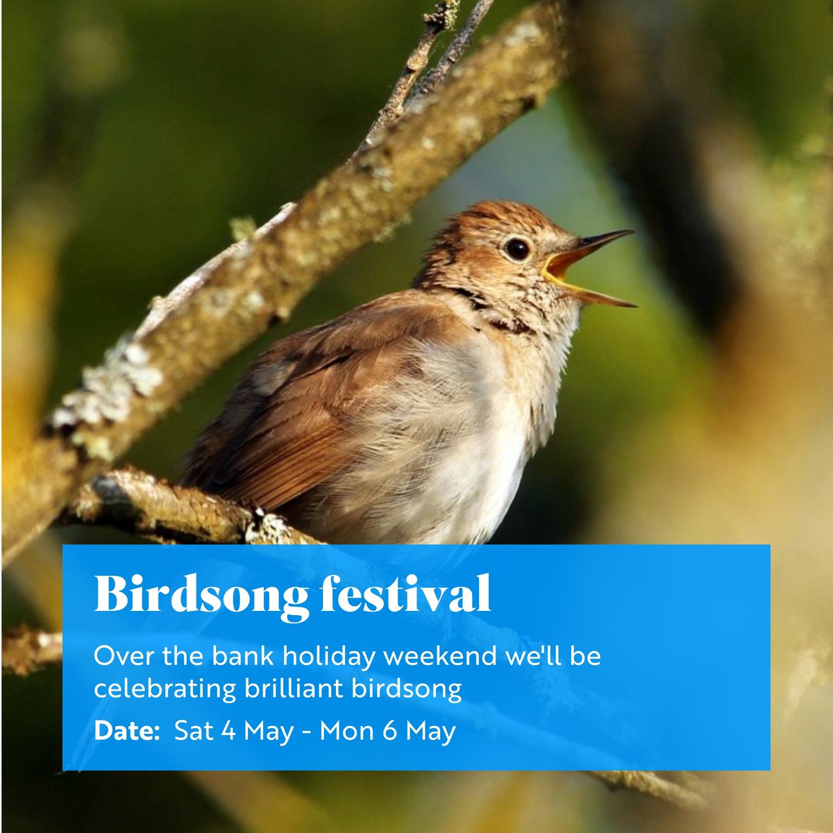 Over the bank holiday weekend we'll be celebrating brilliant birdsong and the other wonderful spring wildlife at Pulborough Brooks. Our friendly volunteers will be out and about around the reserve throughout the day. Find out more: events.rspb.org.uk/events/74282