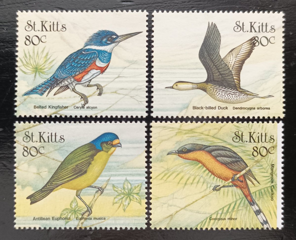 St Kitts and Nevis 1999 #birds #stamps #FDC #philately