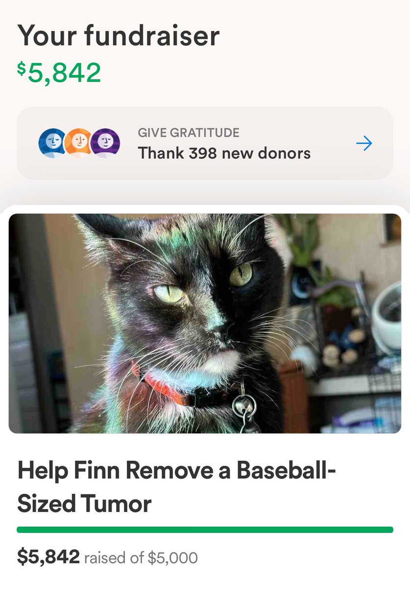 you guys 😭 my TikTok went viral overnight and I woke up to 400 new donations 😭 MY BOY CAN GET SURGERY 😭