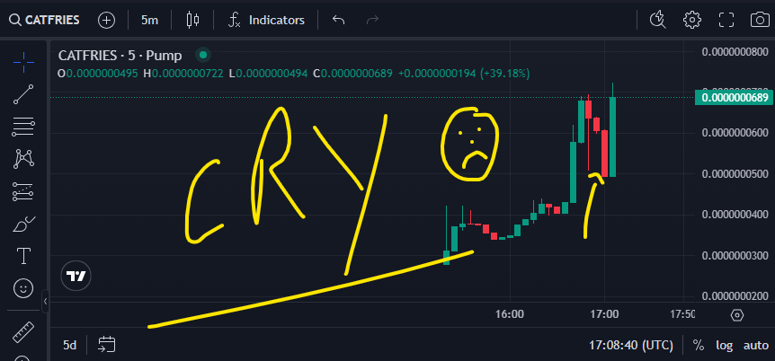 CatFries tweet media