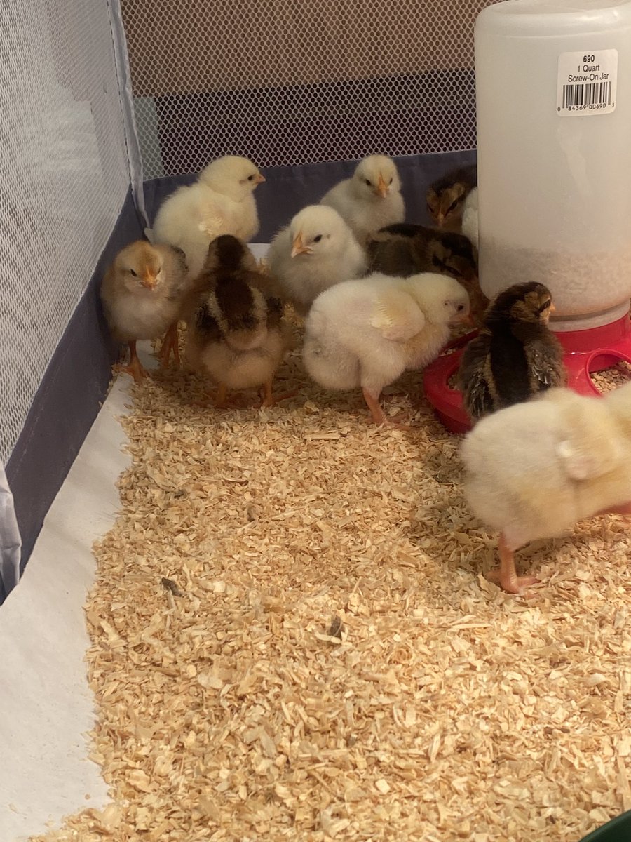 Laura Turngren tweet media