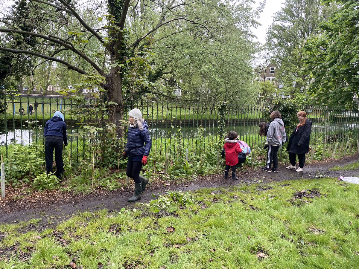 Great morning Rewilding with our volunteers in the park today. Weeding and mulching the New River Hedge. Logging shrub beds and having fun. Thanks to our park ranger and to @ForestGardenELL for working with us. Community groups working together to get the job done.