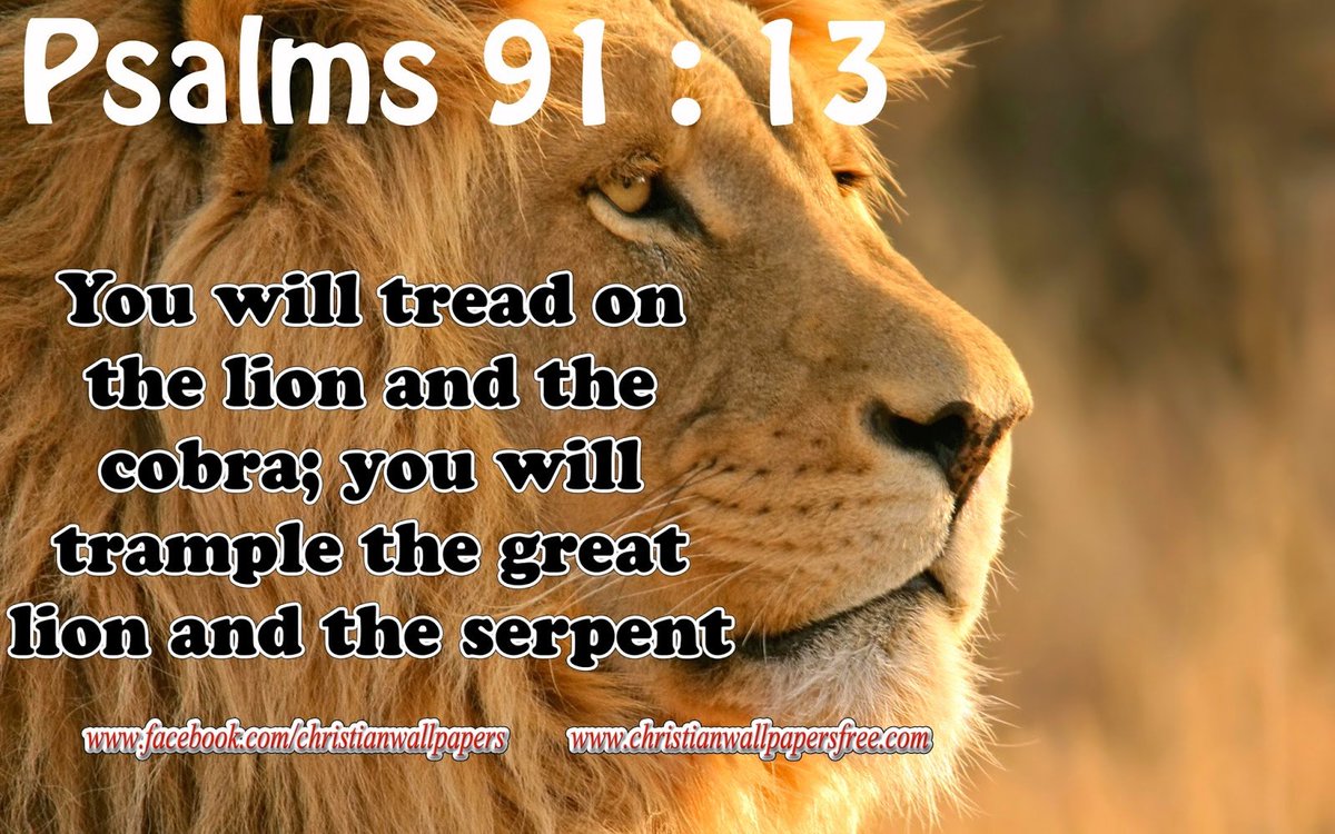 Psalms 91:13 Thou shalt tread upon the lion and adder: the young lion and the dragon shalt thou trample under feet.