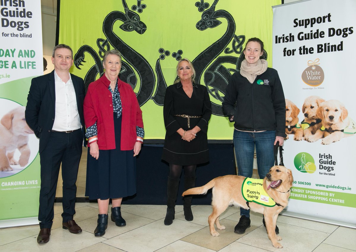 Huge thanks to @whitewater_sc Newbridge who are continuing their partnership with us by helping to raise awareness of our Assistance Dog Programme which supports families of children with autism. 💚🐕 

#ChangingLives