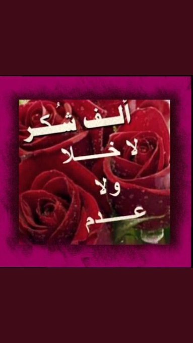 عـ༈ۖ҉ـبـ༈ۖ҉ـيـ༈ۖ҉ـر آلَؤُرد tweet media