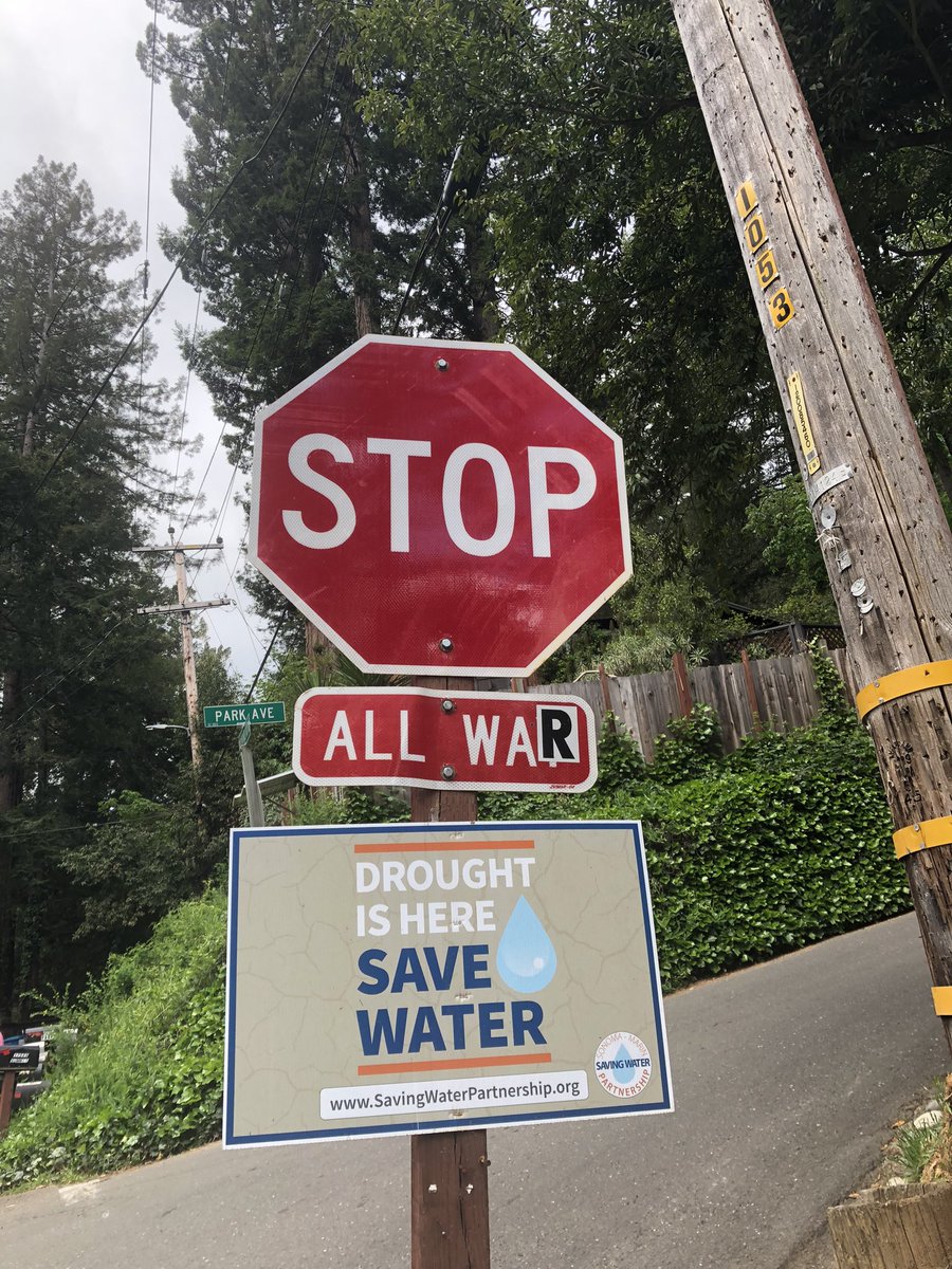 On message on my street in the California redwoods!Sending solidarity to all those marching and campaigning for a ceasefire & end to occupation