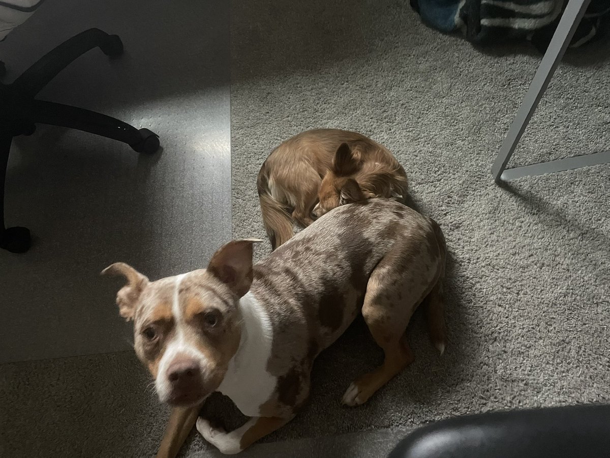 Unauthorized_content tweet media