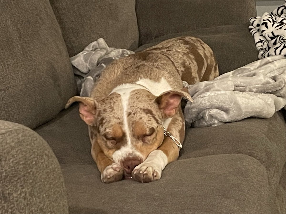 Unauthorized_content tweet media