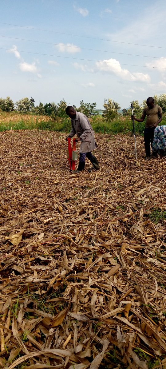 Alva_Litman's tweet photo. These mechanical machines are known as planting tools, mostly used to sow different seeds beans, maize, soya beans, and others some are calibrated with respect to type of seed and are efficient for both conventional till and no-till.
#agriculturemechanisation
#SoilHealth
#farming https://t.co/bSpofRiTz4