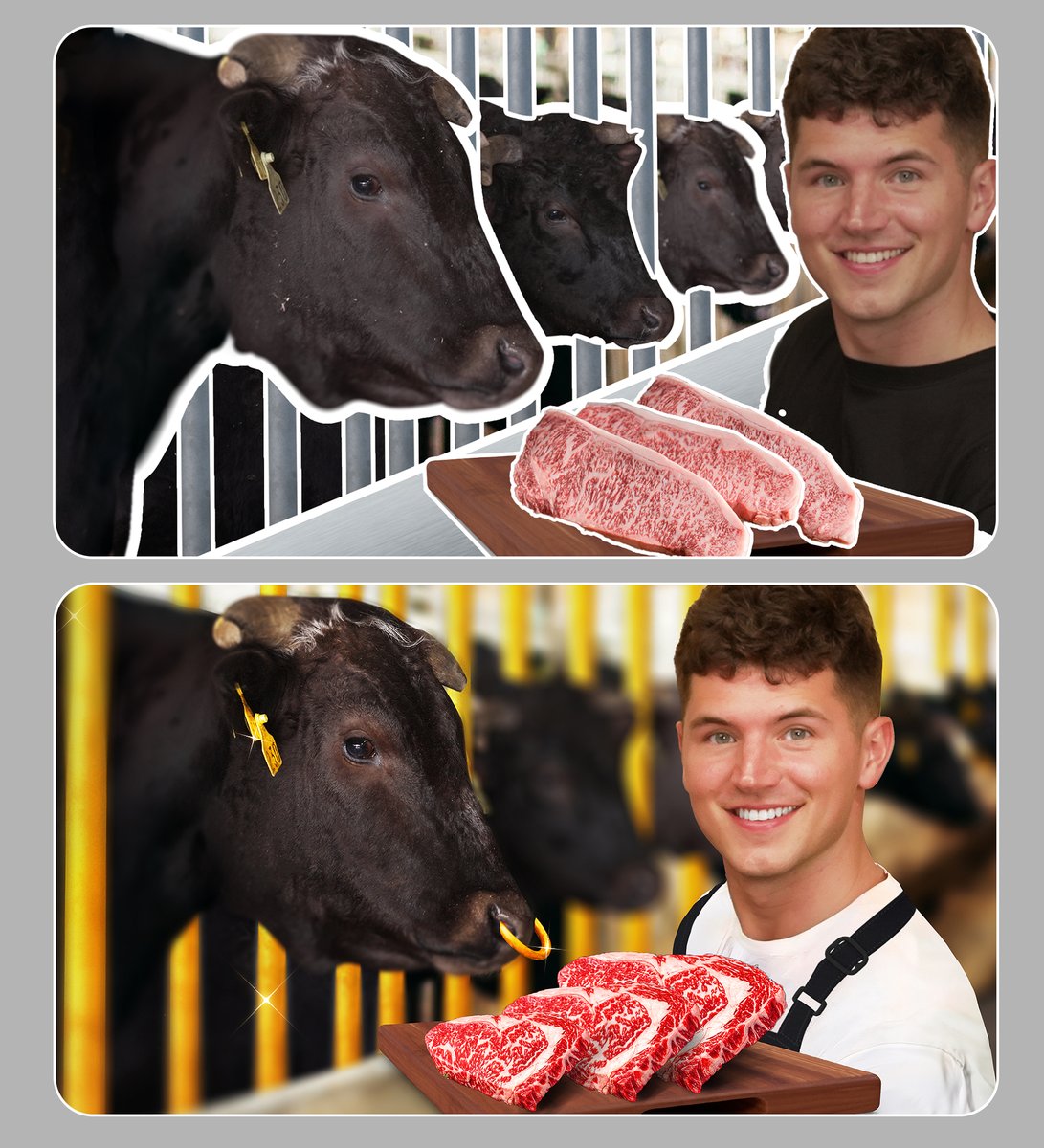 Before/After thumbnail for nick🖌️😍
Title: How Wagyu Is Made (Farm To Table)
-
what you guys think?🤔