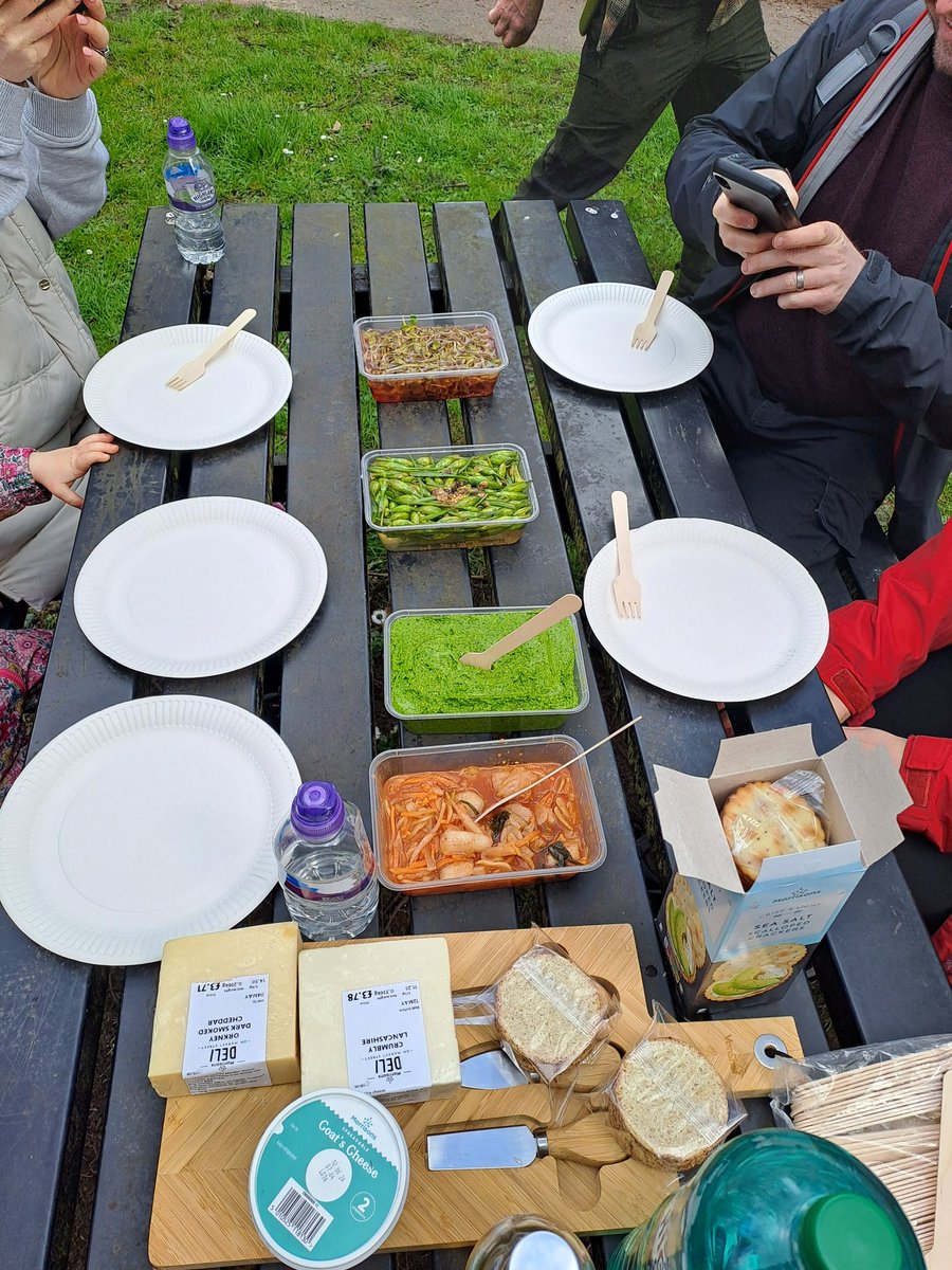 Helena MacPhail tweet media