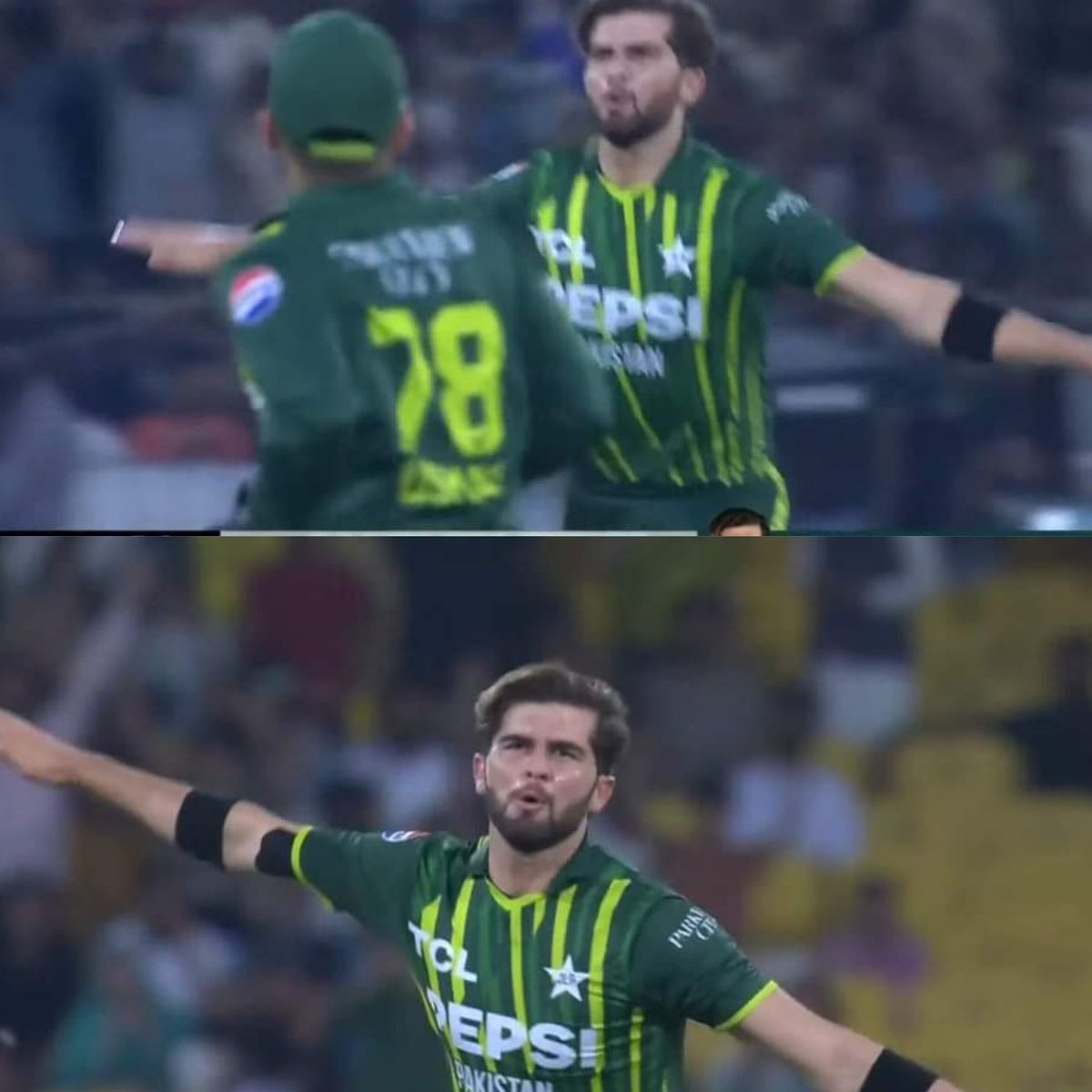 Only bowler in history of t20s to take 50 wickets in 1st over It's no other than Shaheen Shah Afridi ❤️🔥 #BabarAzam𓃵 #PAKvNZ