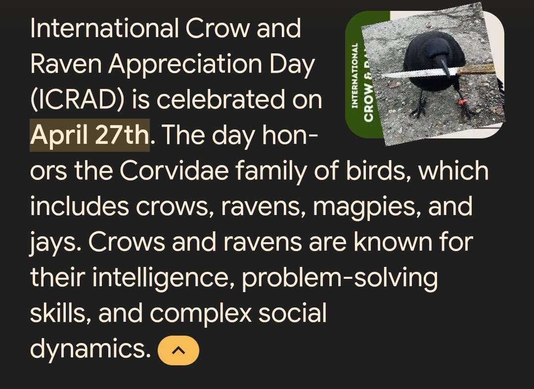 crow with knife tweet media