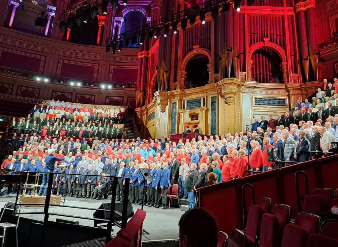 Newtown Male Voice tweet media