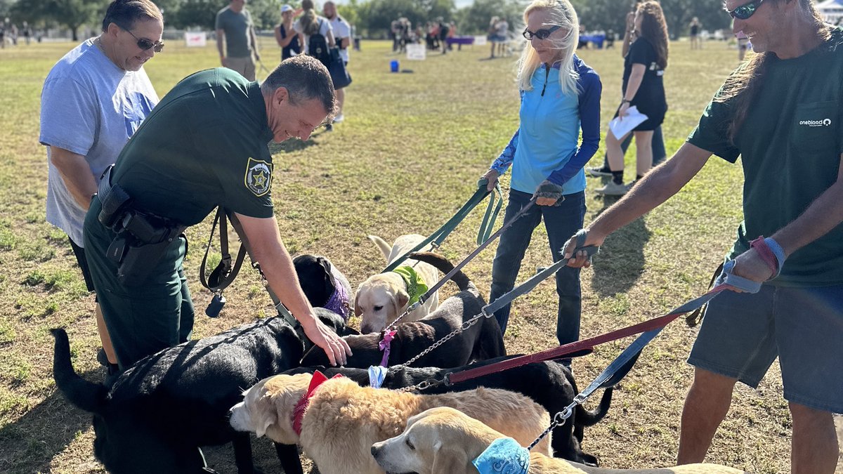 OrangeCoSheriff's tweet photo. This morning, we were at #PawsforPeace at Blue Jacket Park to support @harborhousefl and the important work they do to end domestic violence in our community. 🐾🦮 https://t.co/DwDZ9na5FR