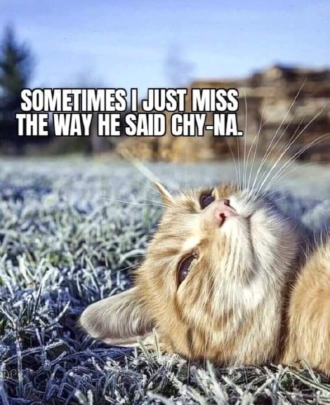 🍕Low Effort Pizza🍕 (@loweffortpizza) on Twitter photo 