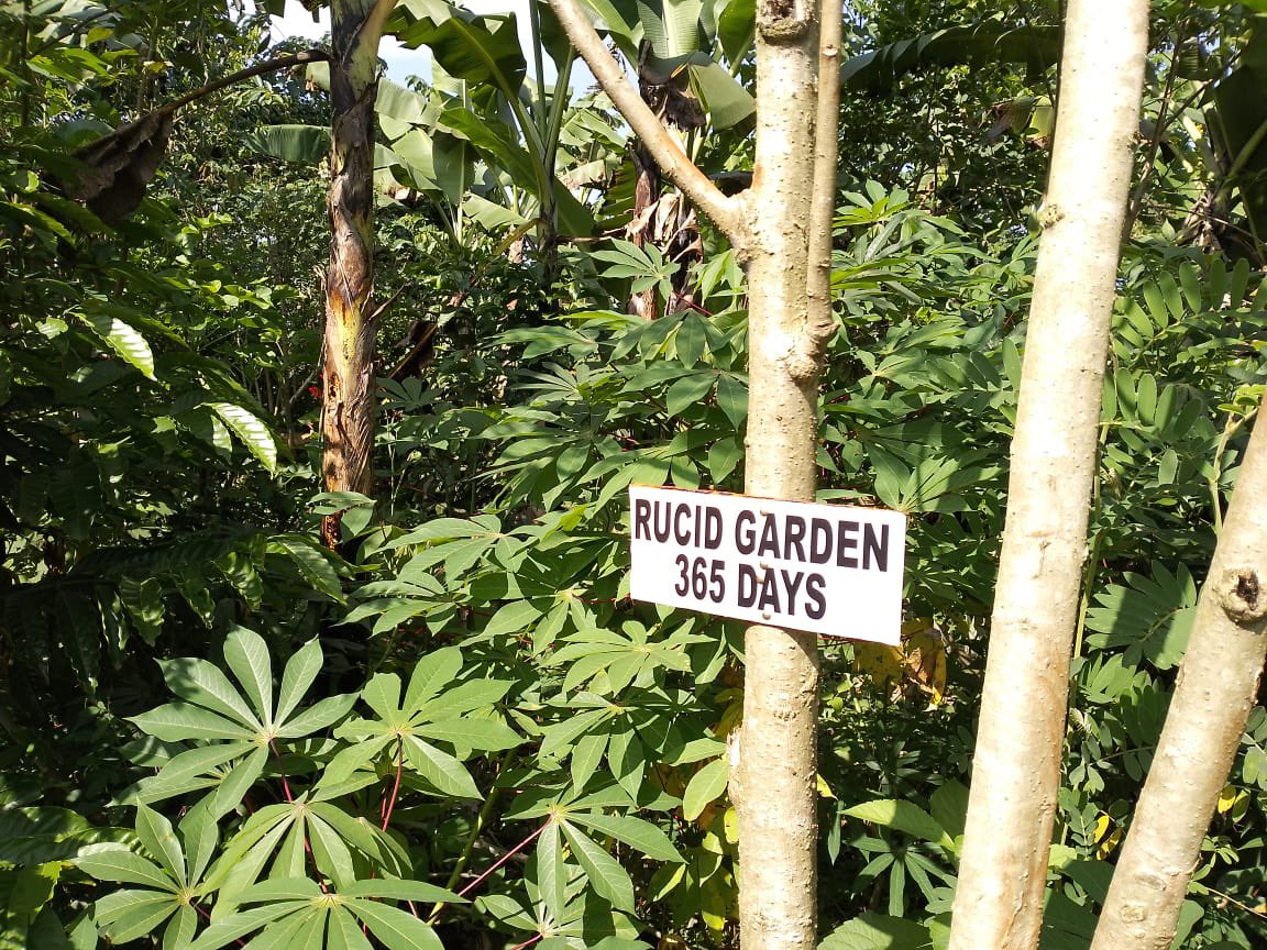 rucidug's tweet image. How do you feel when you have your own garden in someone’s garden. This is the power of sharing agro ecological knowledge. Thx ksam respect goes both ways