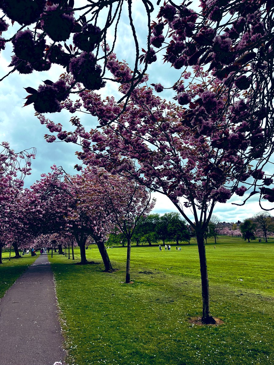 A lovely afternoon in Harrogate ☺️🌸