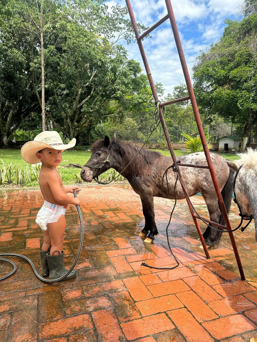 Como dice mi admirado <a href="/Waltersilva_/">Walter Silva</a> "El tinto y a los caballos"