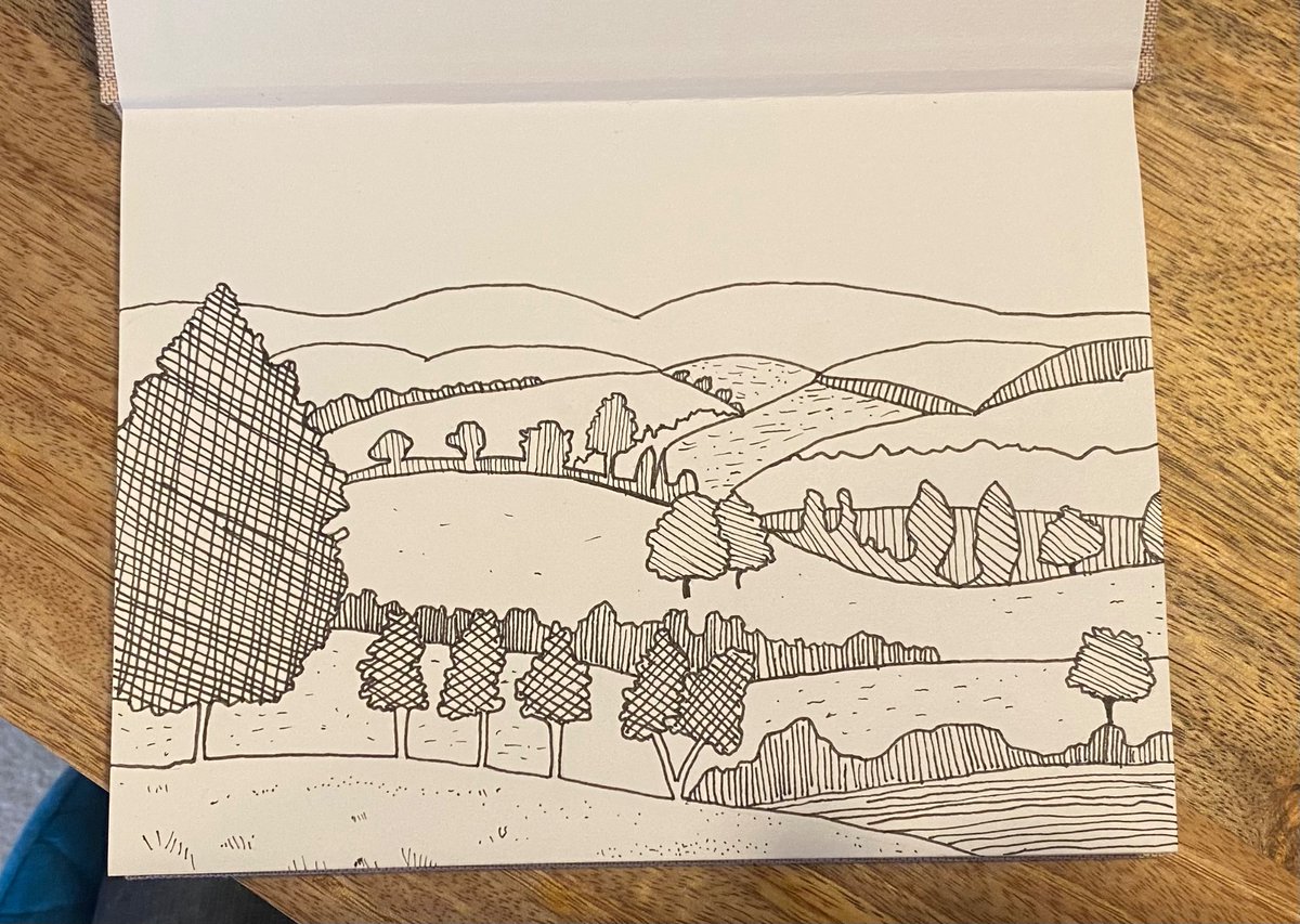 First time doing a landscape. Might colour later, haven’t decided.
I need to get better at crosshatching for shading as it looks clumsy at the moment. That’s what practice is for