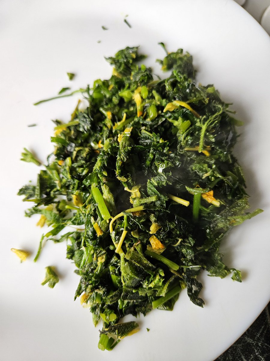 vernscape's tweet photo. Sumptuous breakfast consisting of freshly foraged wild plants this morning. #wildgarlic #cowslip #stingingnettle #dandelion #ribbedplantain #stickyweed #garlicmustard https://t.co/WddCShXSvt
