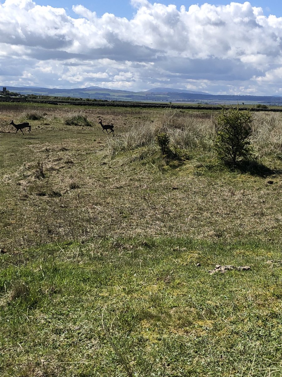 Second to last day and a trip to Lindisfarne (Holy Island). Stunning views and wildlife. Fantastic weather was a bonus. 
#Ilovenorthumberland 
#Highlyrecommendedplacetovisit 
#Amazingcompany