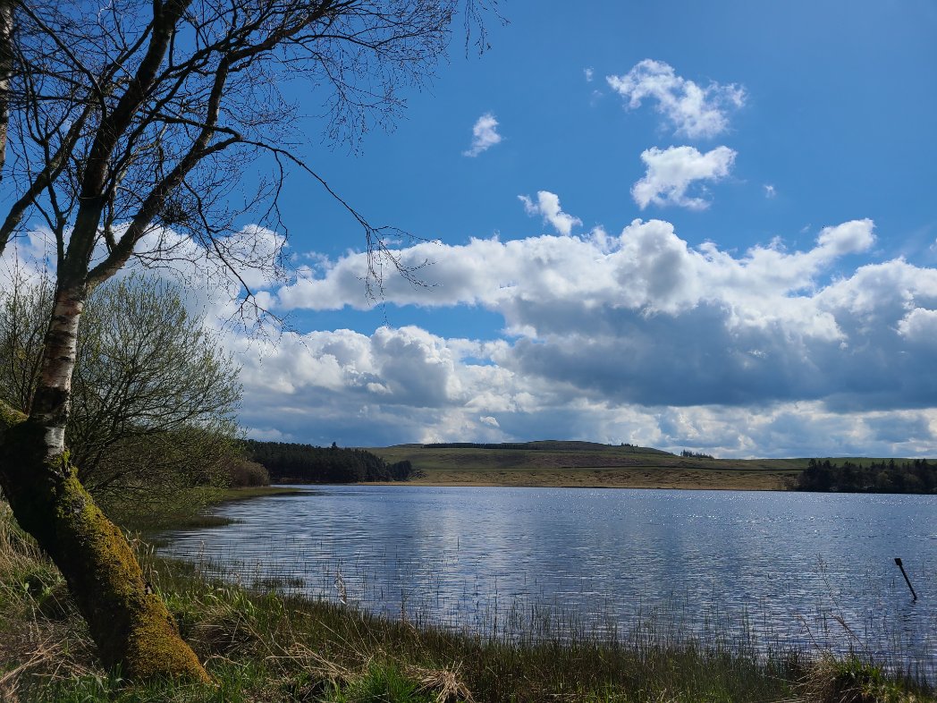 Fabulous day at Greenlee Lough, attending to place, heritage, nature, futures, & learning so much from rich conversations with inter-disciplinary peers and practitioners #WalkingResearch @NorthernEnviro3