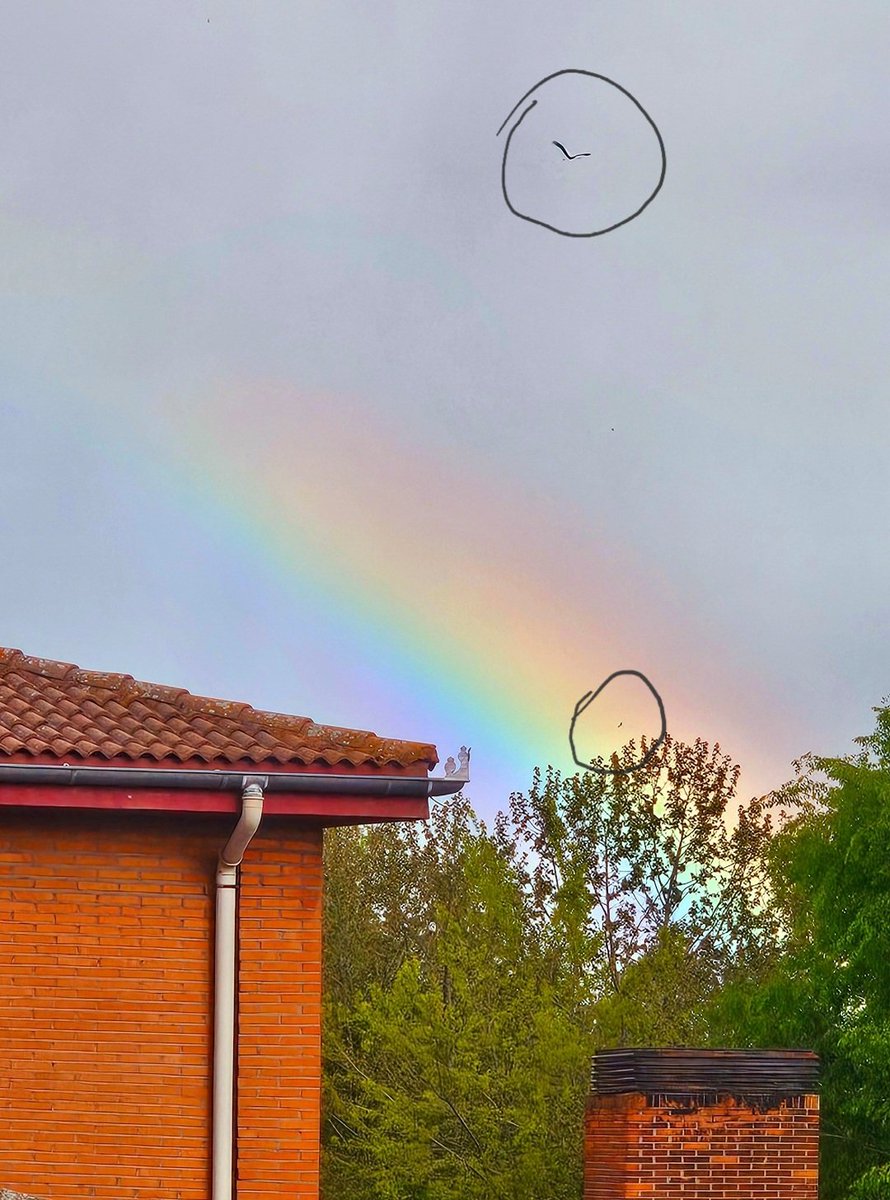 El 🌈 y las cigüeñas...