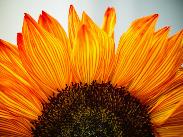 AcuMedic_Pro's tweet image. As the rising temperatures and air pollution worsen the allergic reactions, people are looking for more natural, longer-lasting solutions to their allergies. How are you going to help them?

Use our guide to acupuncture and herbal treatment for allergies:

shop.acumedic.com/articles/post/…