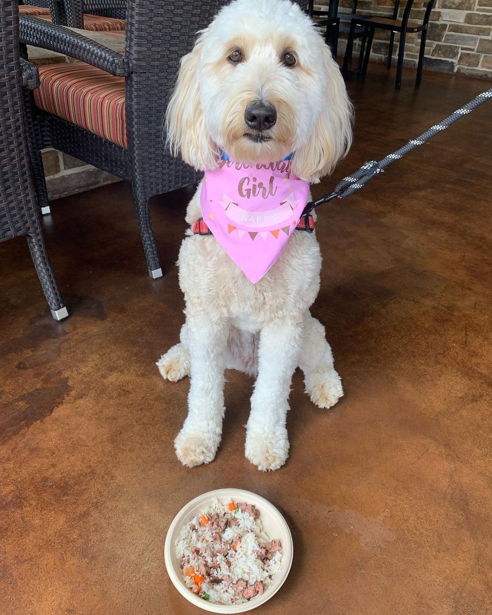Lazy Dog Restaurants tweet media