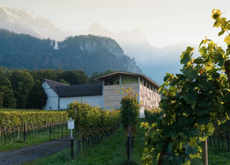 Un Français va-t-il s'offrir ce célèbre vignoble suisse? La rumeur enfle aargauerzeitung.ch/leben/wein-wir…