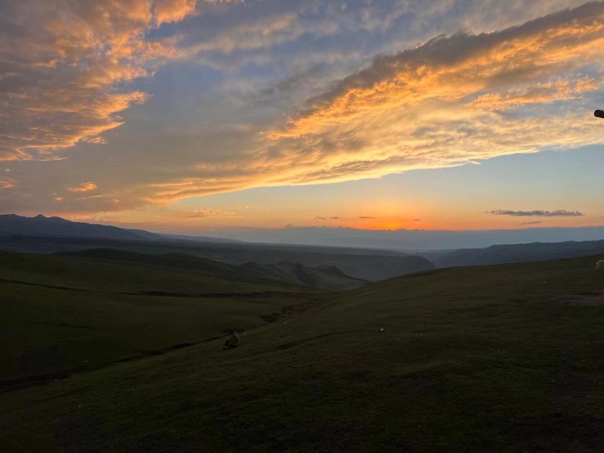 Maverick tweet media